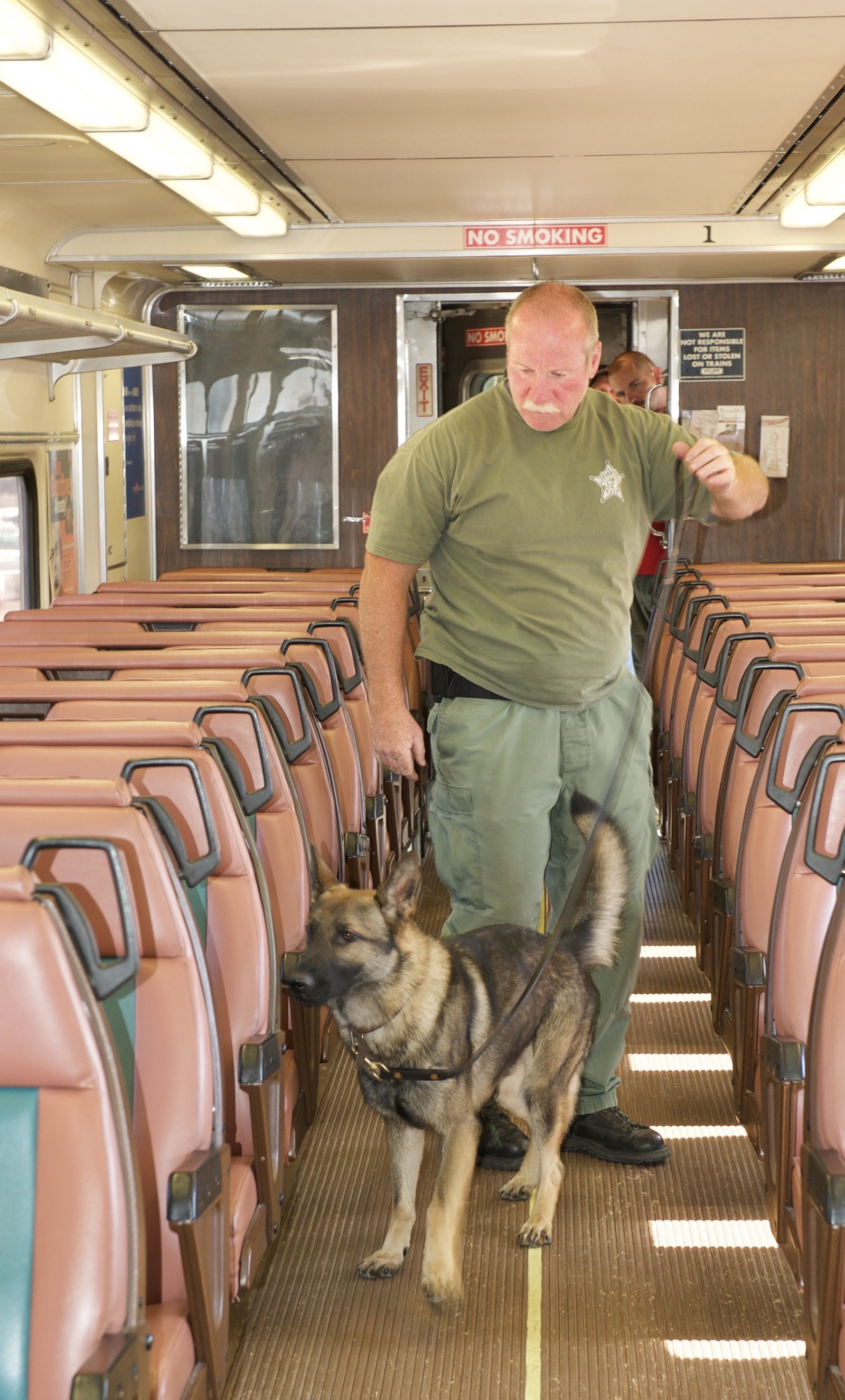 Canine Odor: Deciphering The Pungent Aroma Of Bully Sticks